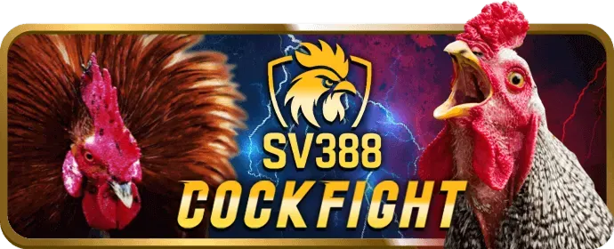 Chiến lược chơi Baccarat tại casino trực tuyến GUN88