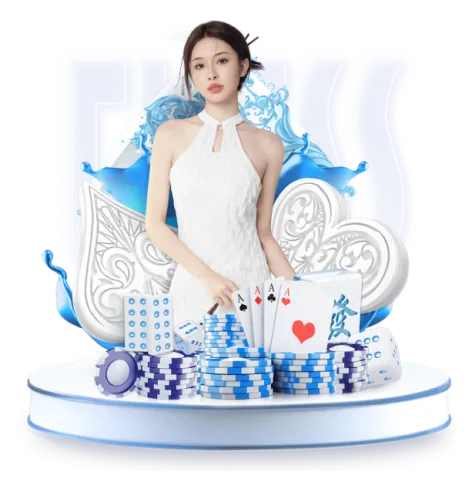 Gà chiến với cựa sắt đang thi đấu